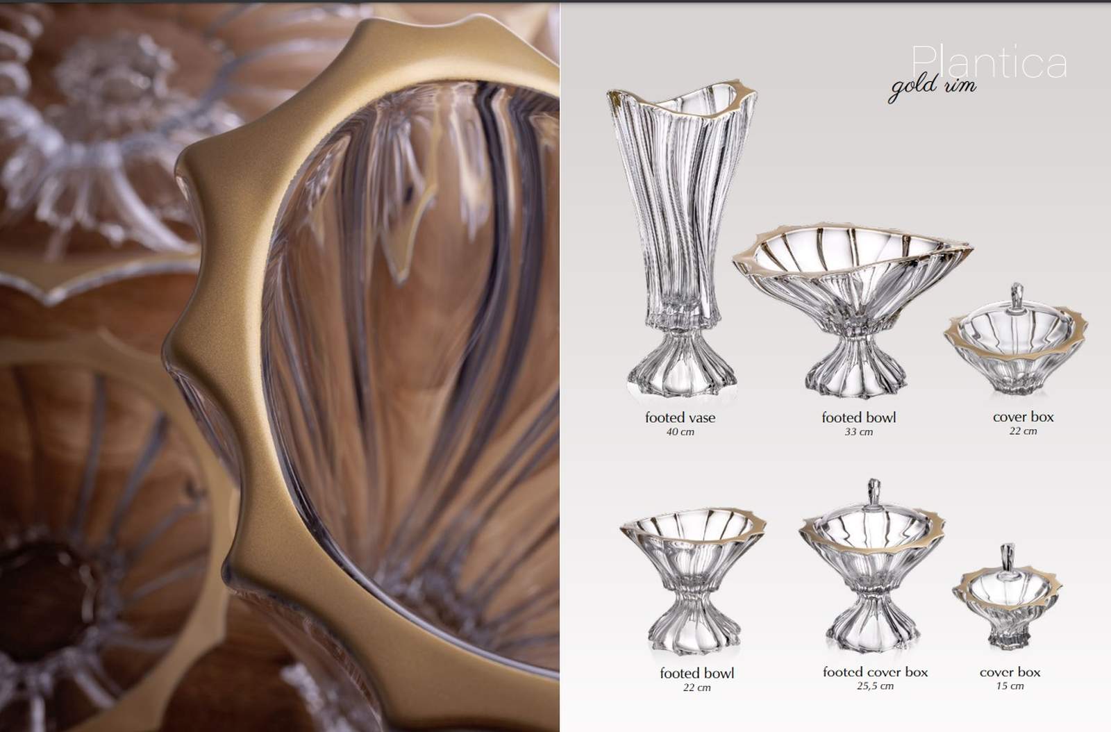 Aurum Plantica misa na nohe 33 cm so zlatým okrajom