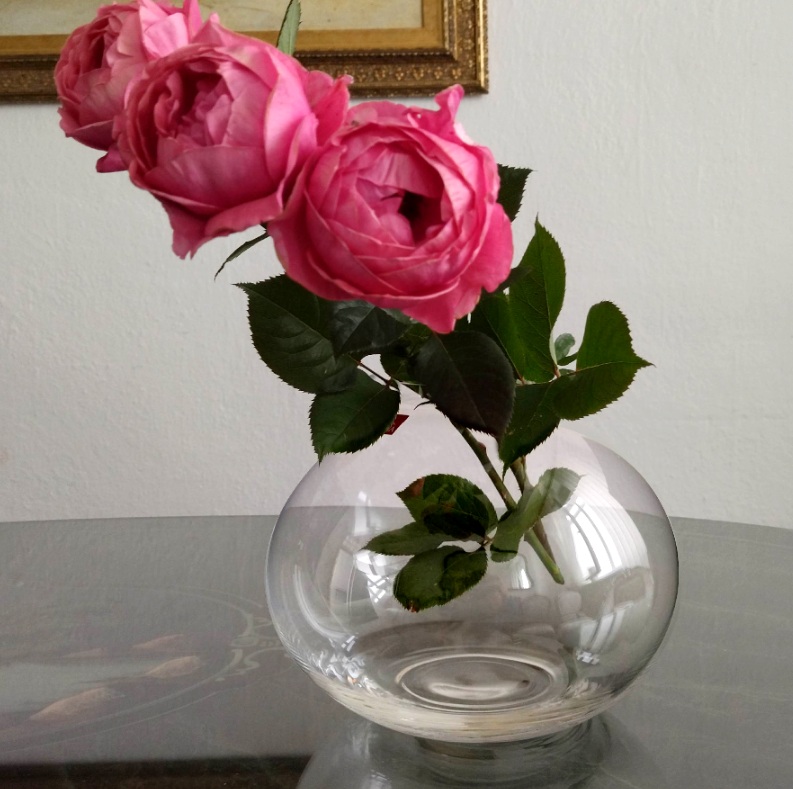 Váza na kvety Ambiente guľatá s okrajom 24 cm 5650